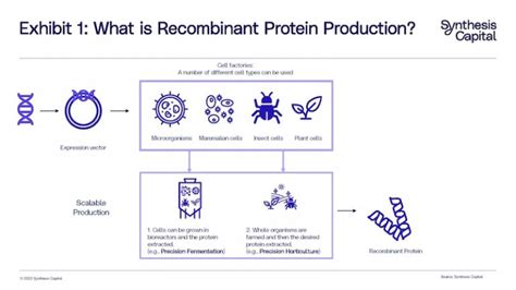 Agricultura Molecular en Plantas producir proteína animal en plantas