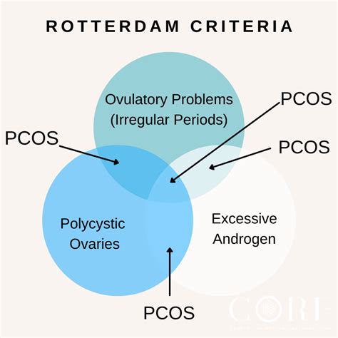 Itec 2024 Rotterdam Cruise Kitti Dorelle