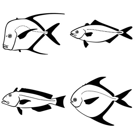 Different types of fish outline icons in set collection for design ...