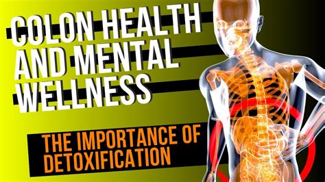 Colon Health And Mental Wellness The Importance Of Detoxification