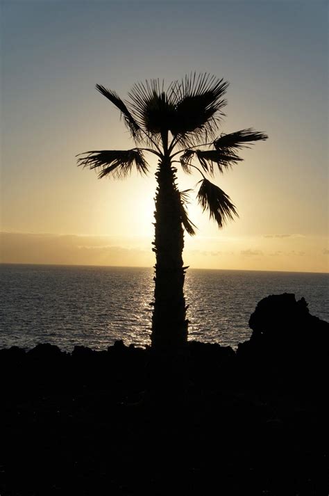 Sunset, Tenerife | Tenerife, Sunset, Landscape