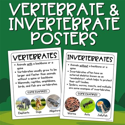 Vertebrate and Invertebrate Posters Animal Classification Anchor Charts ... 