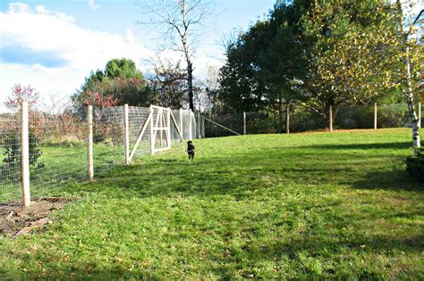 Cheap Easy Dog Fence With 3 Popular Dog Fence Options Roy Home Design