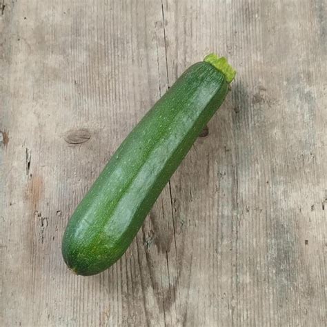 Zucchini Zuboda Cucurbita Pepo Bio Ca Samen