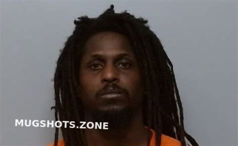 HAYNES TERRENCE ELLIS 06 11 2024 Polk County Mugshots Zone