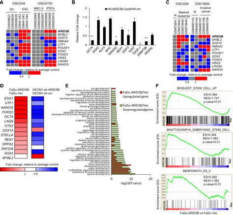 Arid3b Correlates With The Esc Gene Expression Signature Download Scientific Diagram