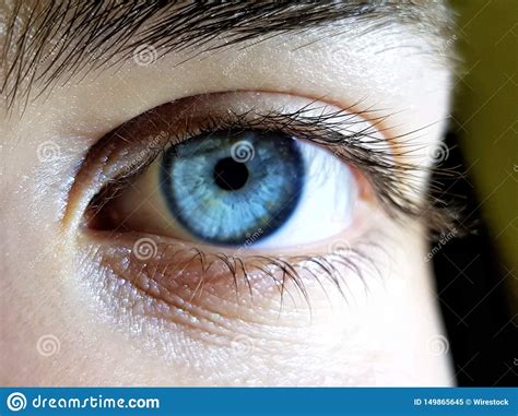 Tiro Hermoso Del Primer De Los Ojos Azules Profundos De Un Ser Humano