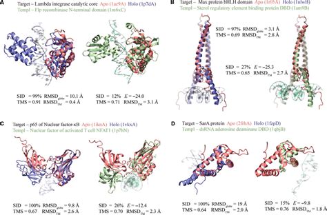 Examples Of Dna Binding Protein Prediction On Apo104 Ad In Each