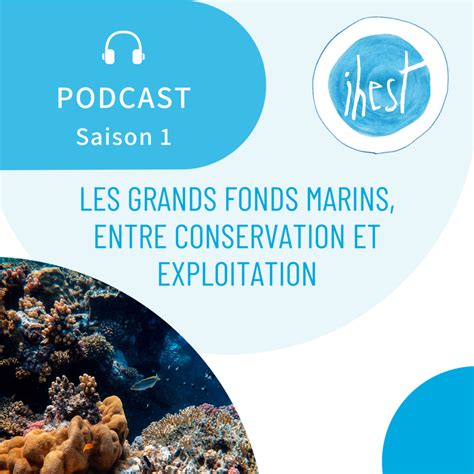 Les Grands Fonds Marins Entre Conservation Et Exploitation