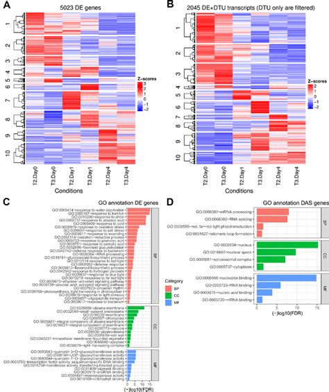 Downstream Analyses Of Co Expression Clusters And Functional