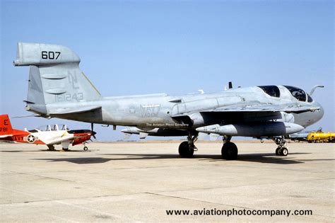 The Aviation Photo Company Archive US Navy VAQ 134 Grumman EA 6B