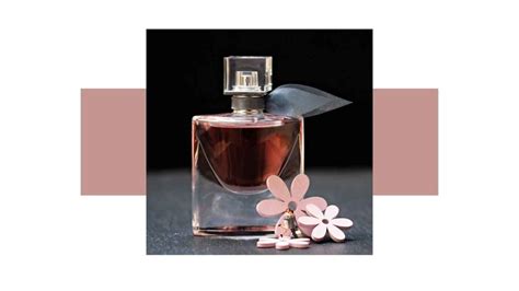 Attar Vs Perfume Understanding The Differences And Benefits Luxury Fragrance