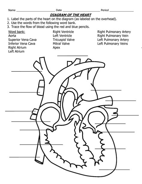 Free Printable Heart Diagram Worksheets