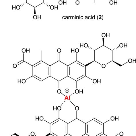 General Structure Of Haqn 1 And Structures Of Carminic Acid 2 Download Scientific Diagram