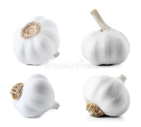 Set of Different Garlic Bulbs Stock Image - Image of garlic, natural: 123342591