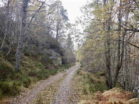 Road South Of Loch Beinn A Mheadhoin Richard Webb Geograph