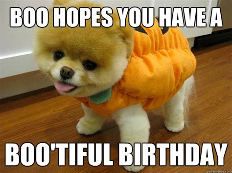 Boo Hopes You Have A Bootiful Birthday Boo Birthday Quickmeme