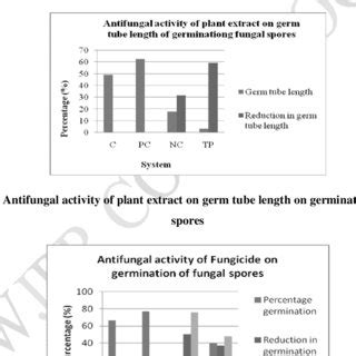 Pdf Antifungal Activity