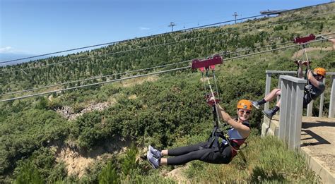 Careers at Fluid | Join Us | Fluid Recruitment New Zealand 