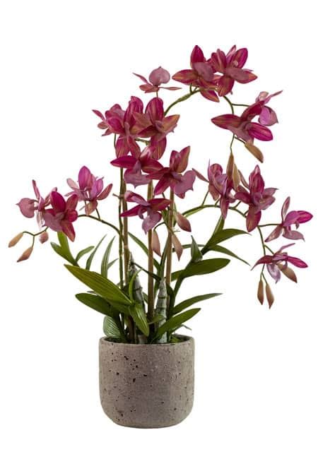 Künstliche Orchideen online kaufen wie echt wirken