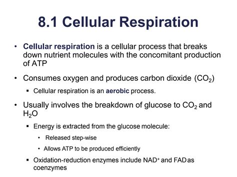 SOLUTION Cellular Respiration Studypool