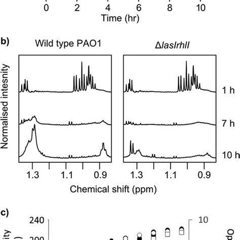 Cell Growth And Extracellular Metabolic Profiles Of Wild Type P