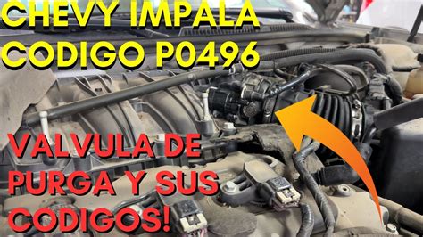 Chevy Impala Codigo P0443 Y P0496 Valvula De Purga Youtube