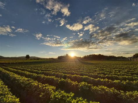 Kostenlose foto Sonne Himmel Feld Natur natürliche Landschaft