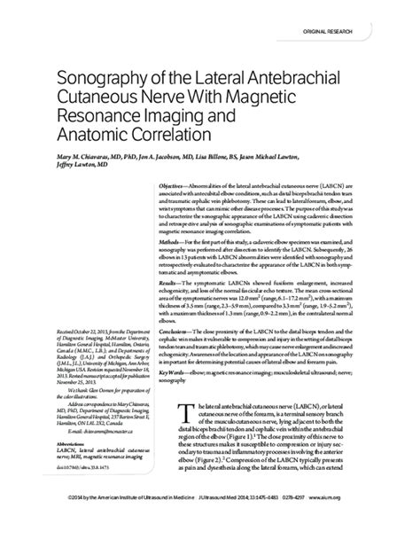 Pdf Sonography Of The Lateral Antebrachial Cutaneous Nerve With Magnetic Resonance Imaging And