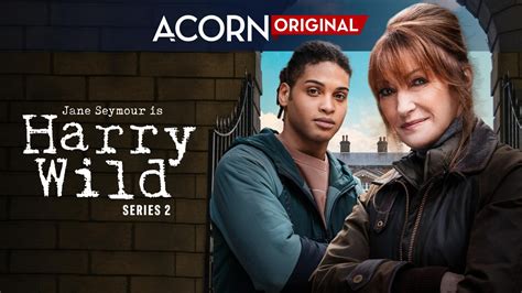 Jane Seymour Is Back In Acorn Tvs Harry Wild Premiering October