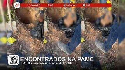 V Deo G Em Minuto Roraima Gatos S O Encontrados Mortos Na Maior