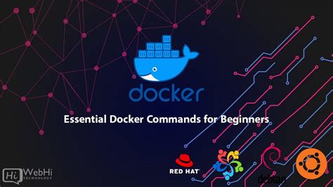 Essential Docker Commands For Beginners Tutorial Documentation