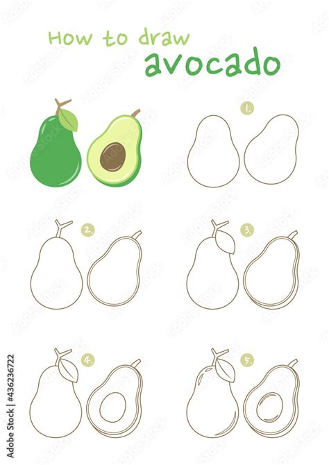 How To Draw An Avocado Vector Illustration Draw Avocado Fruit Step By