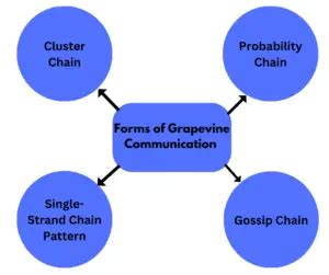 What is Grapevine Communication? Examples & Types (Gossip Chain)