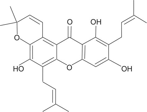 Frontiers Neuroprotection Against Parkinsons Disease Through The