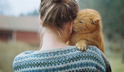 Людина - друг собаки: знаки Зодіаку, які обожнюють своїх домашніх ...