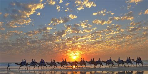 Camel Rides Broome | Broome - Everything Australia