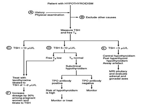 Hypothyroidism Diagnosis, Etiopathogenesis and Treatment | PPT