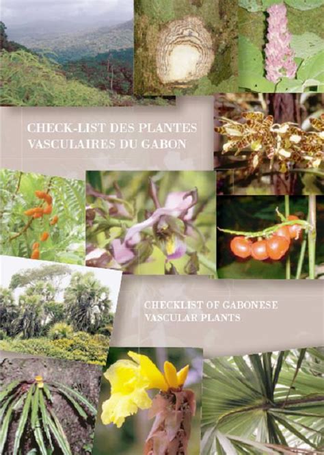 Flore Du Gabon Plantentuin Meise