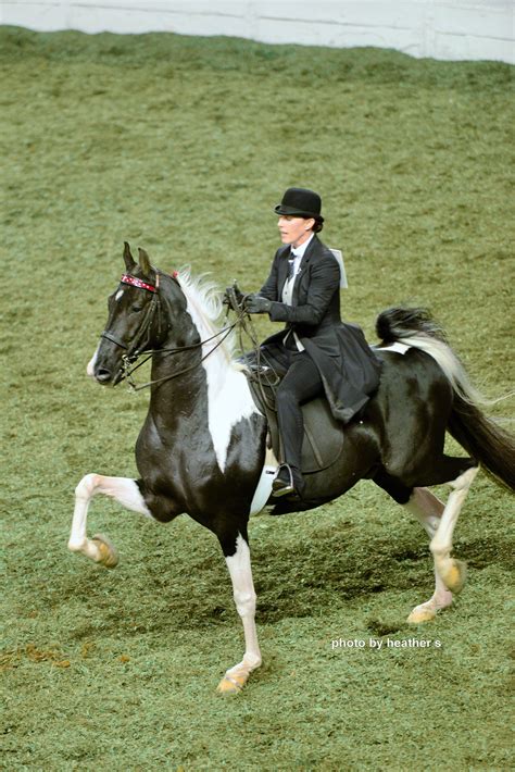 Doctor Zhivago And Dena Lopez At The 2015 Worlds Championship Horse