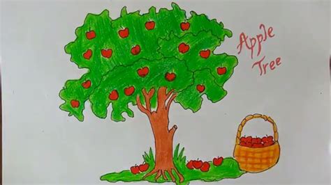 Apple Tree Drawing at PaintingValley.com | Explore collection of Apple ...