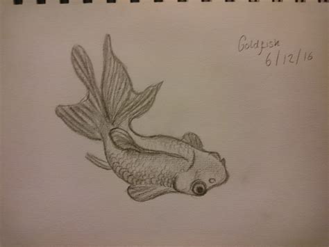 Goldfish by BowieGirl95 on DeviantArt