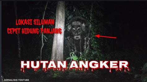 Live Misteri Susul Iman Linglung Di Lokasi Siluman Cepet Hidung