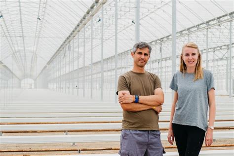 The Greatest Greenhouse Built In Spain In One Unit Hortimedia