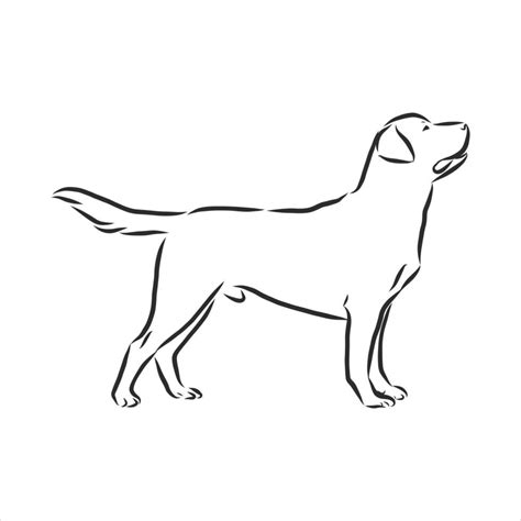 Dog Vector Sketch 11094834 Vector Art At Vecteezy