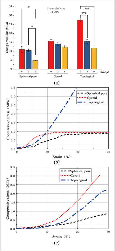 Mechanical Testing Of D Printed Pla B Tcp Ha Scaffolds With Spherical