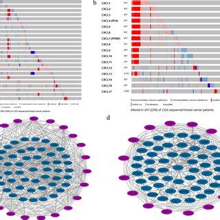 The Transcription Levels Of Cc A And Cxc B Chemokines In Bc And