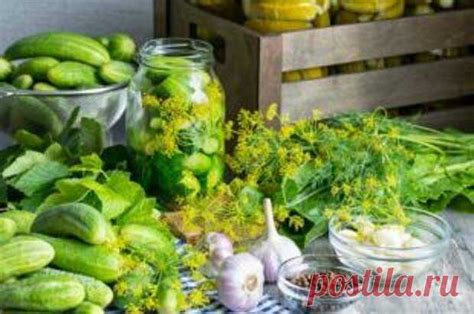 Витамины в банке. Биотехнолог напомнила важные правила домашних заго ...