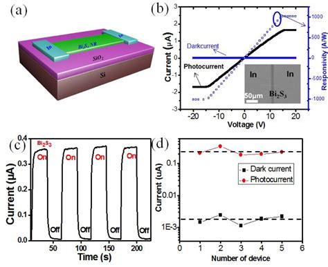 Plasmonic Hollow Gold Nanoparticles Induced High Performance Bi2s3