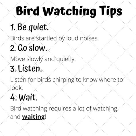 Birdwatching Journal - Free Download - Playdatebox